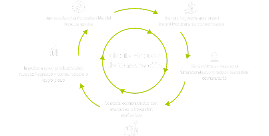 Teoría del cambio
